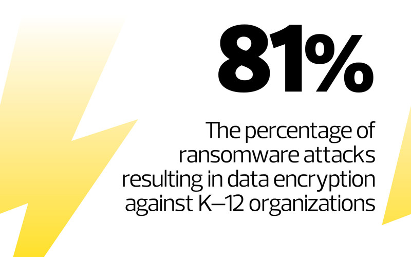 81%